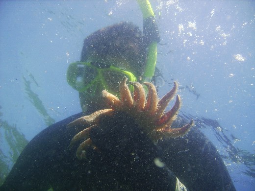 ../Images/6-30-7-1-06 103.jpg
